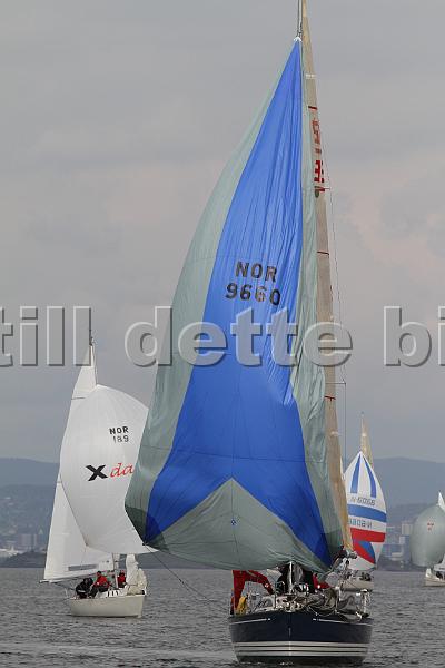 Bundefjorden2012 171.jpg